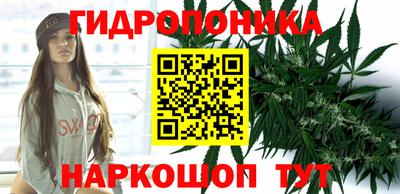 кокс Тверь