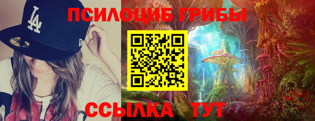 Нурлат  Псилоцибиновые грибы Psilocybine cubensis  Вход с VPN 