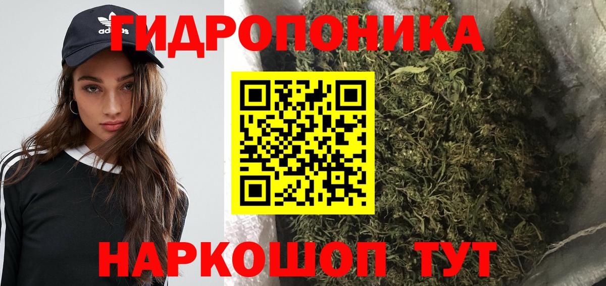 Нурлат  Бошки Шишки AK-47  Вход с VPN  Каннабис планчик  Конопля SATIVA & INDICA 